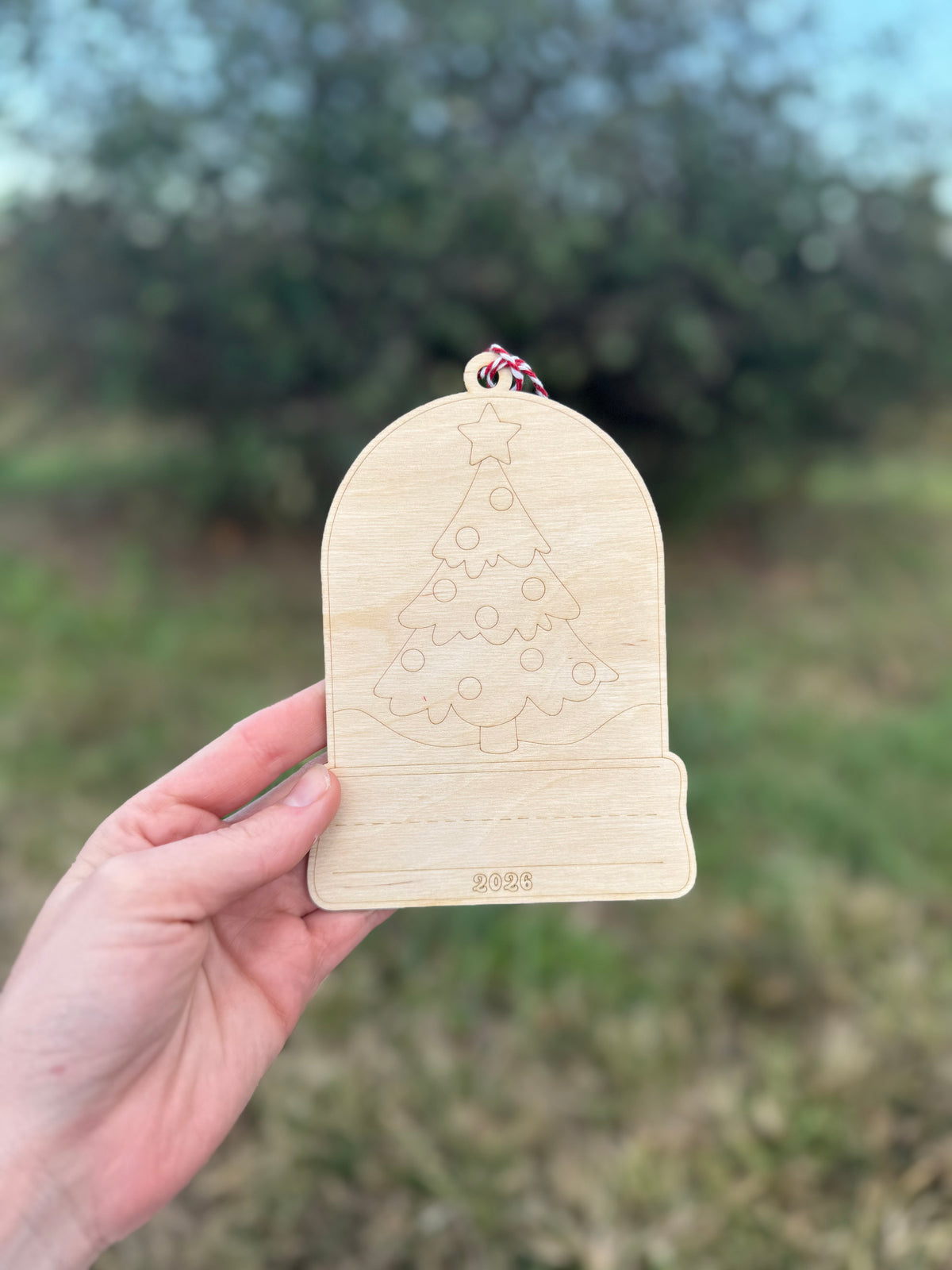 Craft Snow Globe Ornament