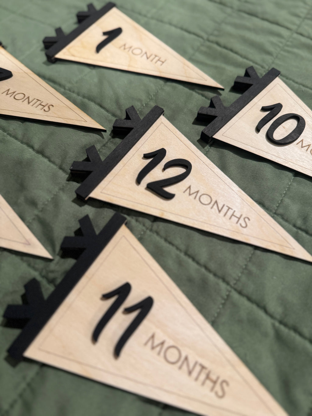 Pennant Flag Baby Monthly Milestone Card Signs