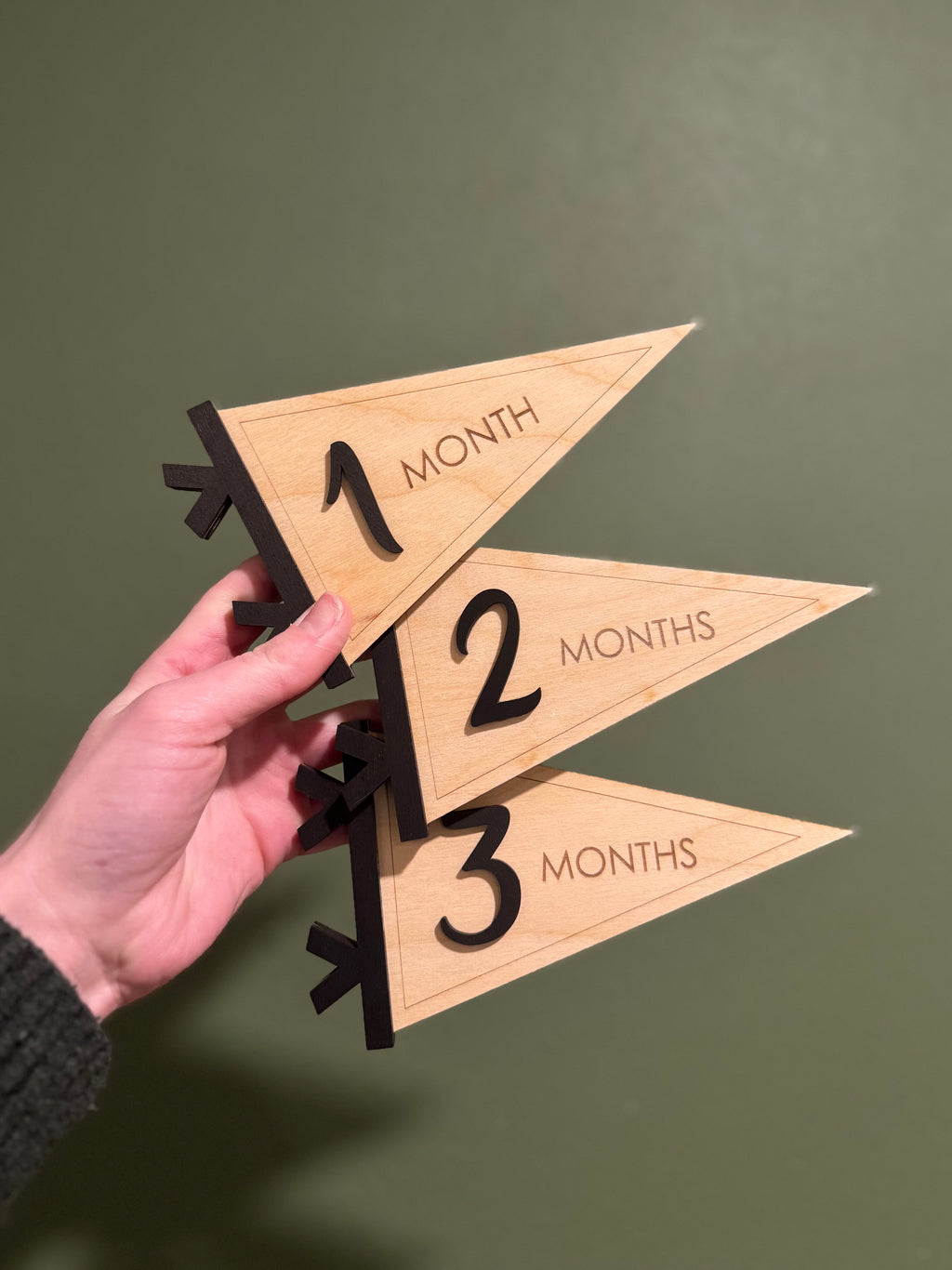 Pennant Flag Baby Monthly Milestone Card Signs