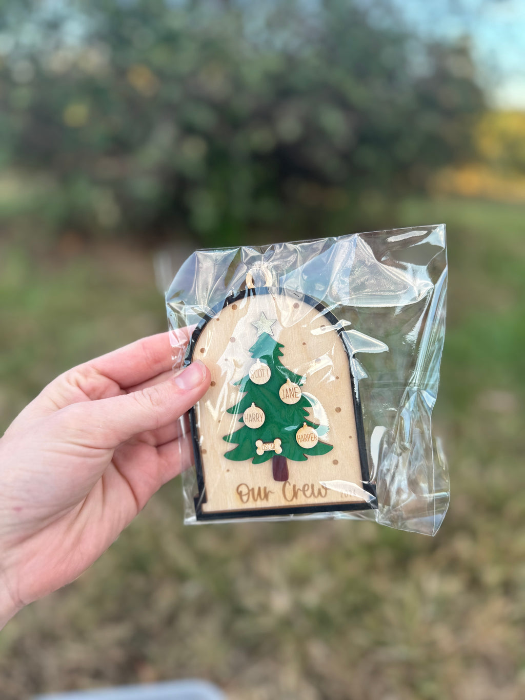 Snow Globe Tree Family Ornament (up to 11)