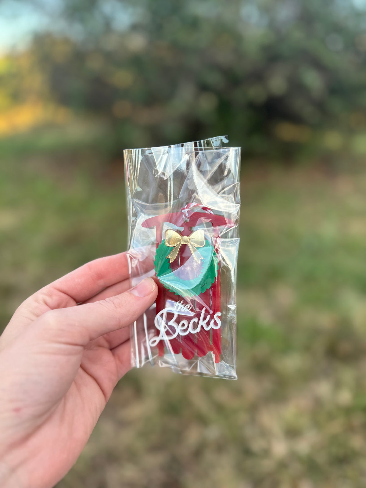 Custom Sled Ornament
