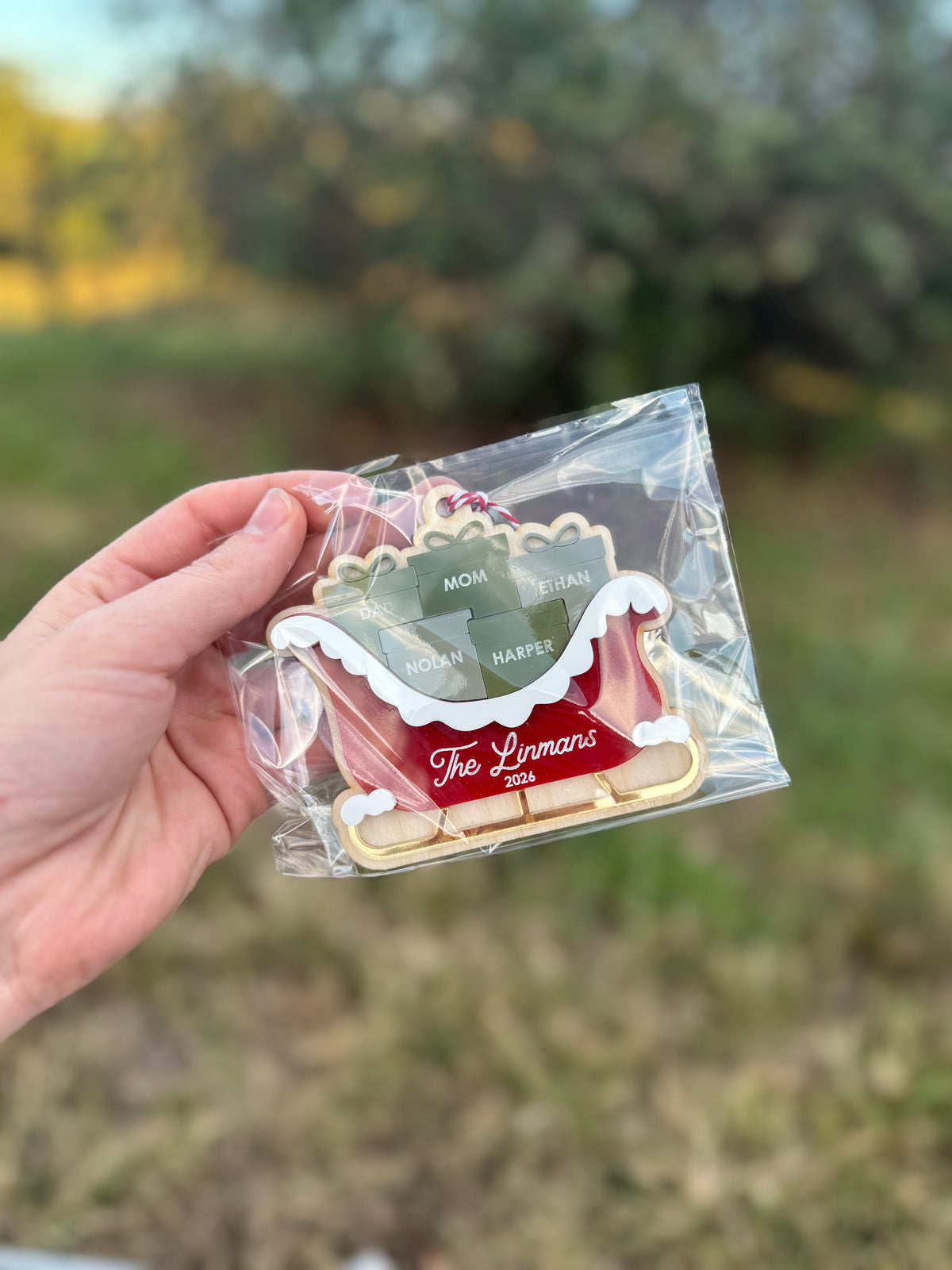 Sleigh Family Ornament (up to 8)