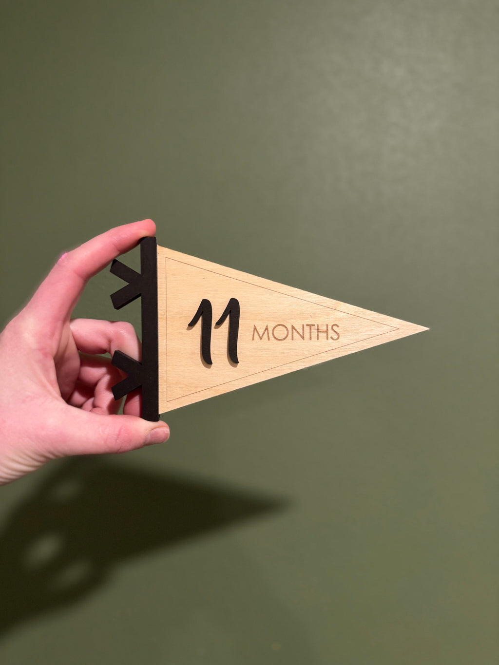 Pennant Flag Baby Monthly Milestone Card Signs