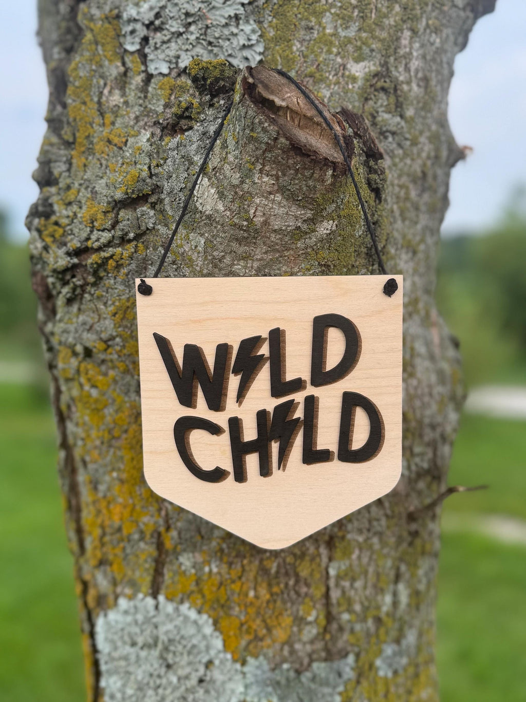 Wild Child Lightning Bolt Sign Wall Decor | Boys Room | Groovy Room Signs | Toddler Decorations | Big Kid Room | Trendy Kids | Pennant