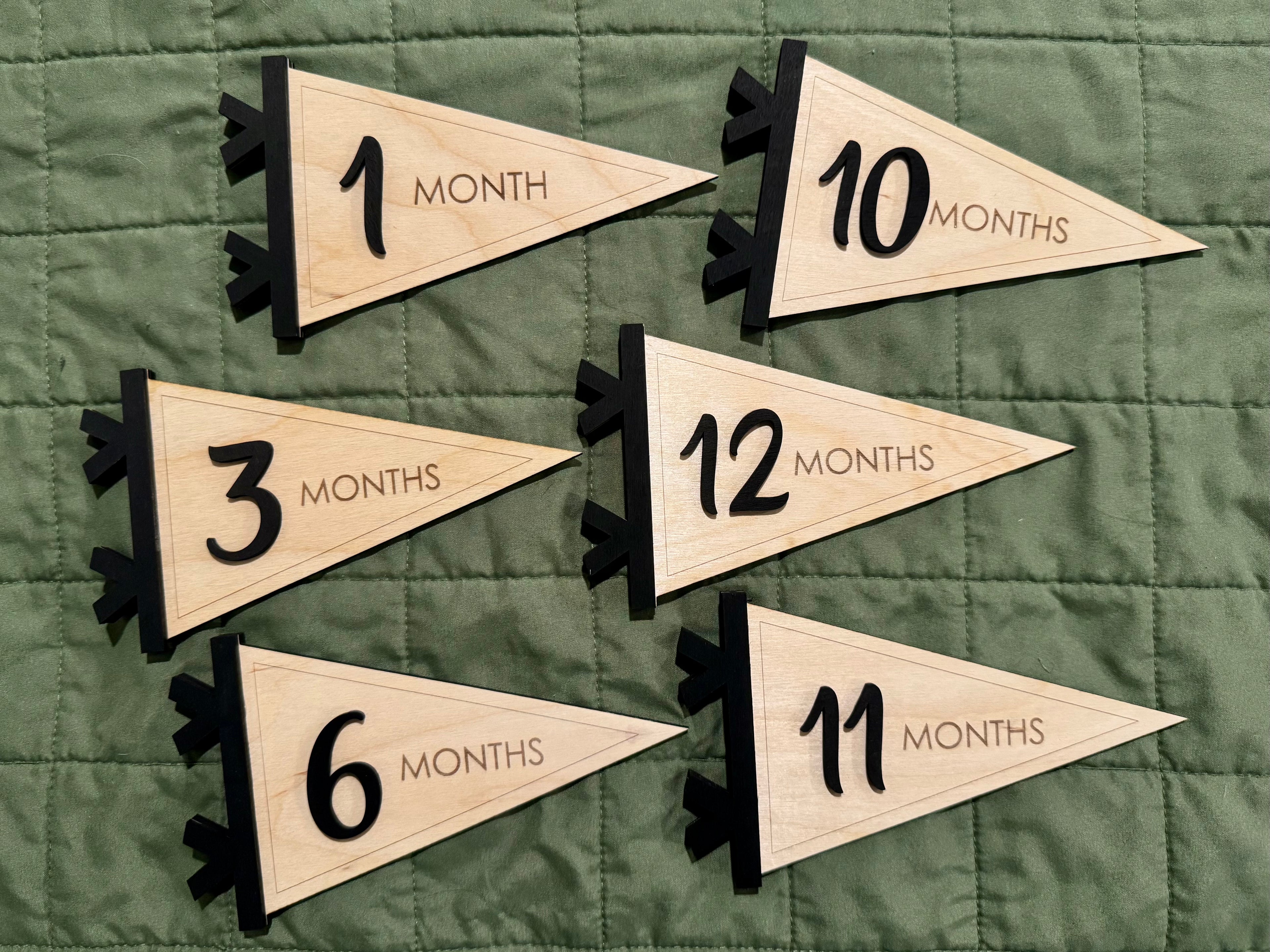 Pennant Flag Baby Monthly Milestone Card Signs