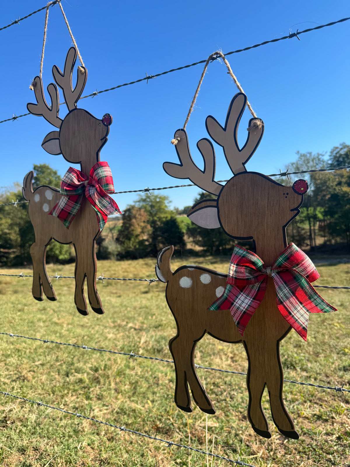 Reindeer Hanger