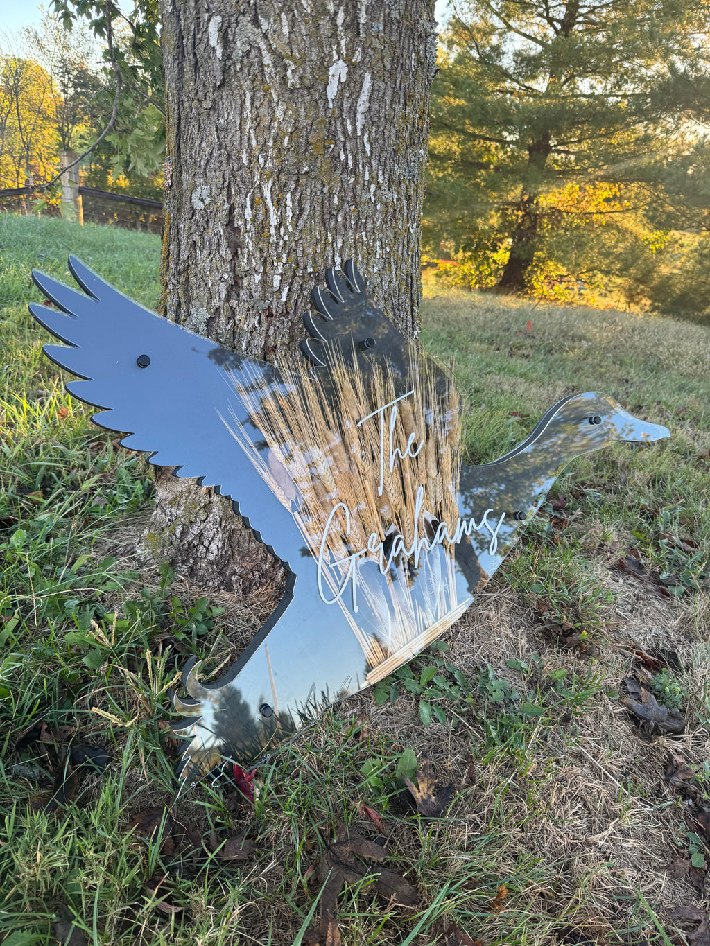 Dimensional Duck Sign