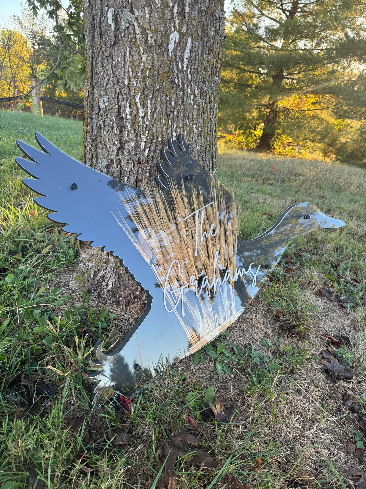Dimensional Duck Sign