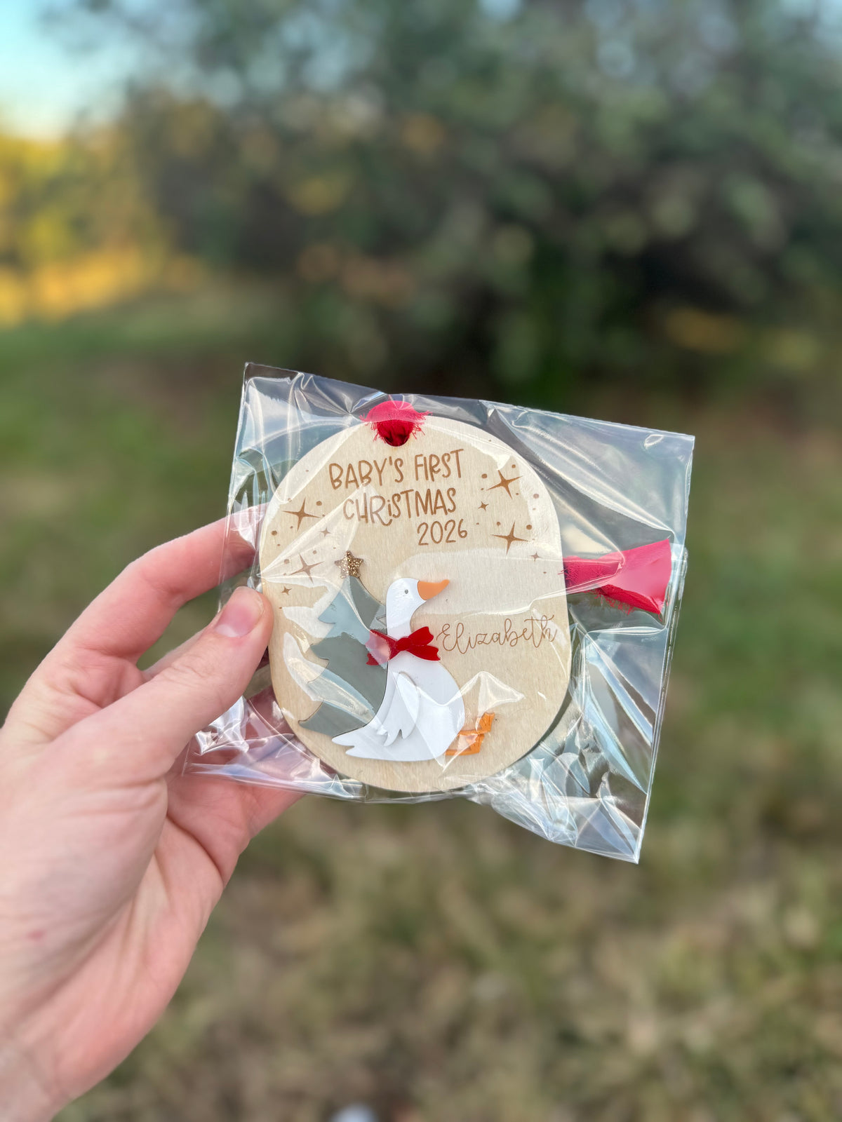 Goose Baby’s First Christmas Ornament