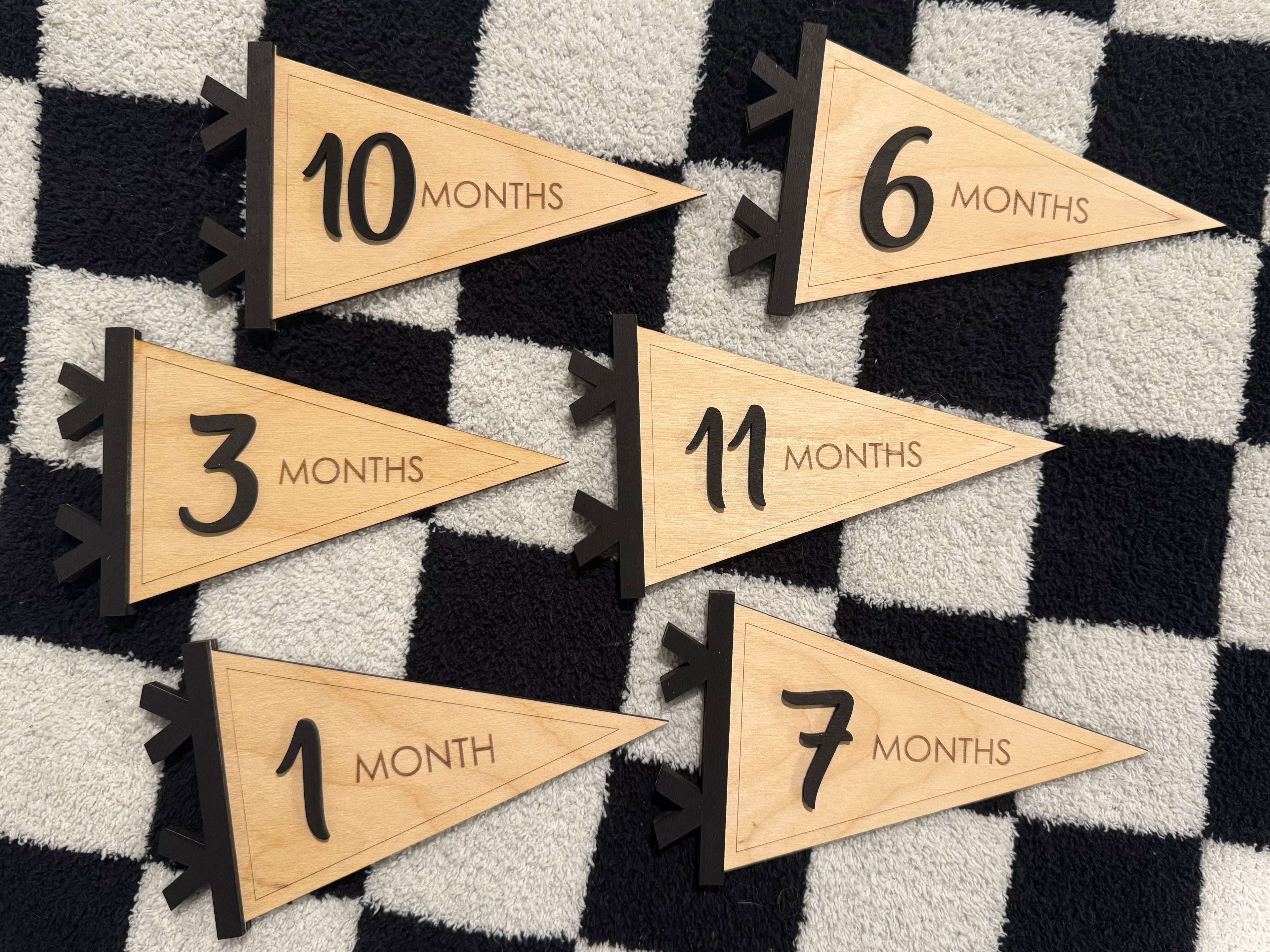Pennant Flag Baby Monthly Milestone Card Signs