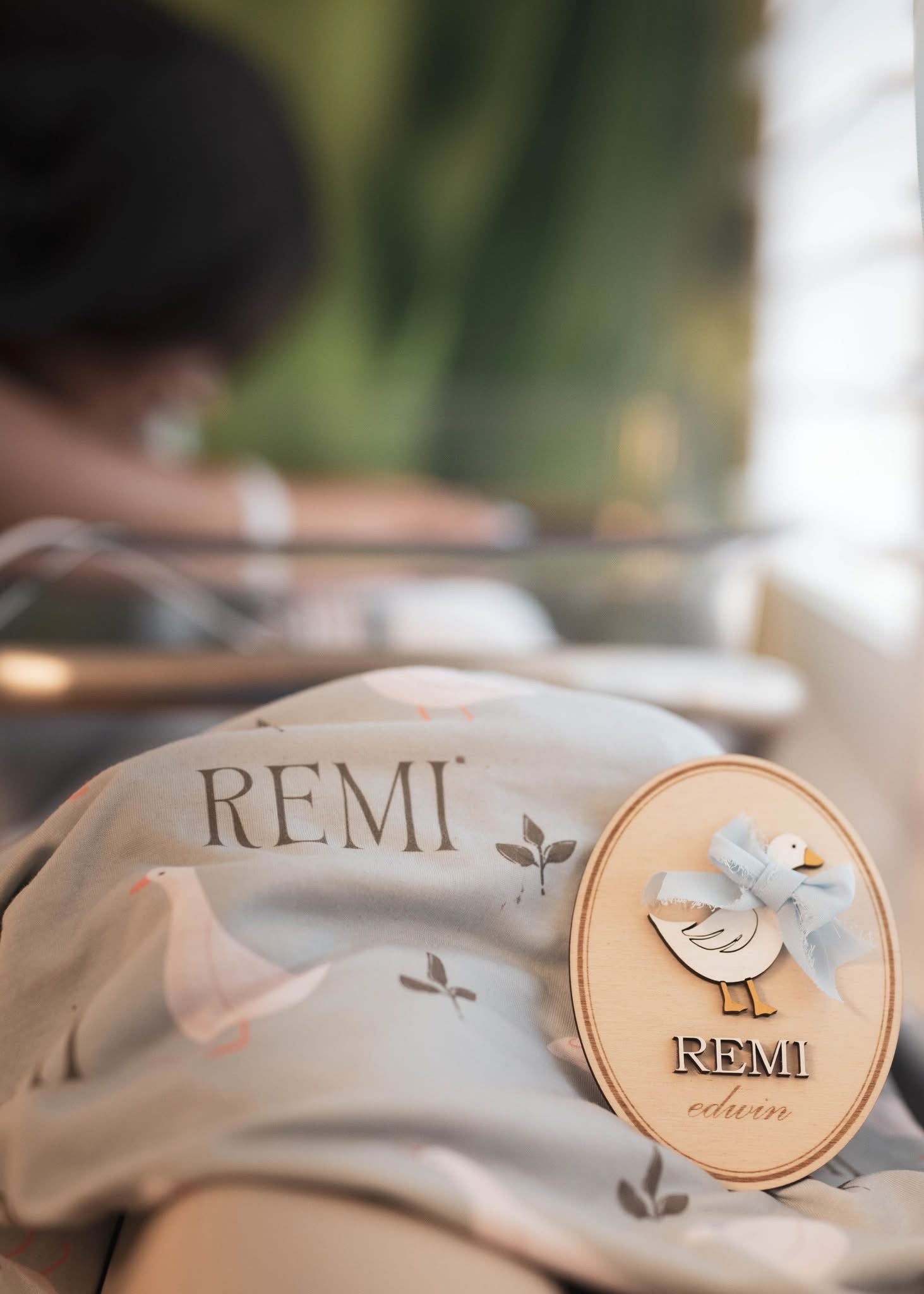 Goose Custom Birth Announcement Plaque